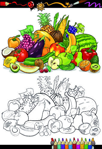 vegetables vegetable tables sketch fruit 
