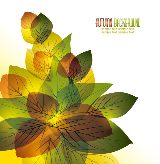 autumn elements vector background set 02