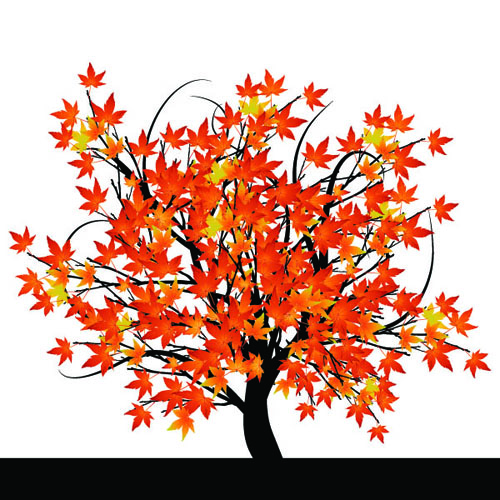 tree creative autumn 