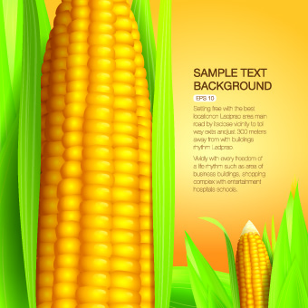 Vector Organic food backgorunds 02