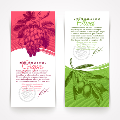 Retro grapes banner design vector 02