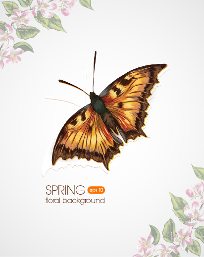 spring butterflies background 