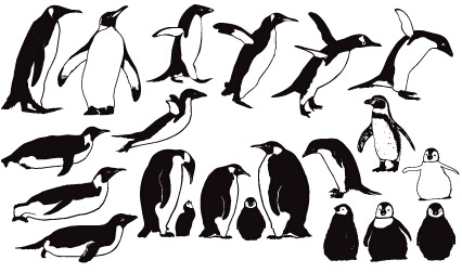 shapes Photoshop penguin cute 