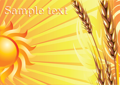 wheat golden 
