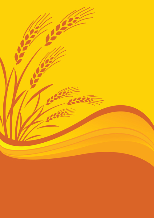 Golden Wheat vector background set 06