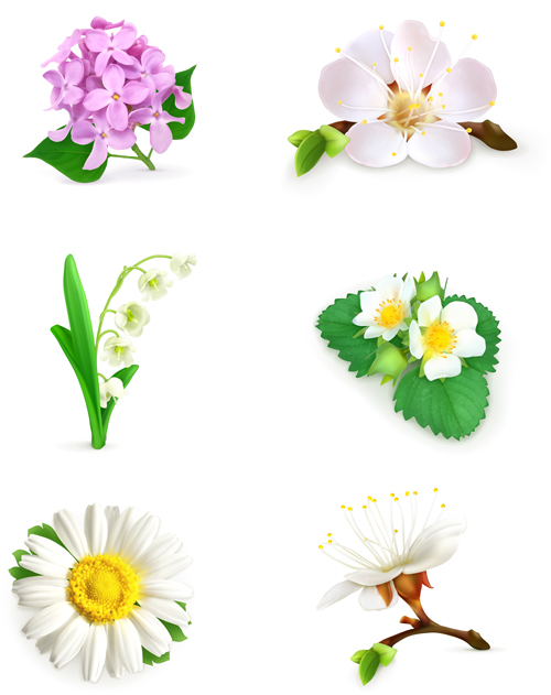 Vector beautiful flowers design set 02