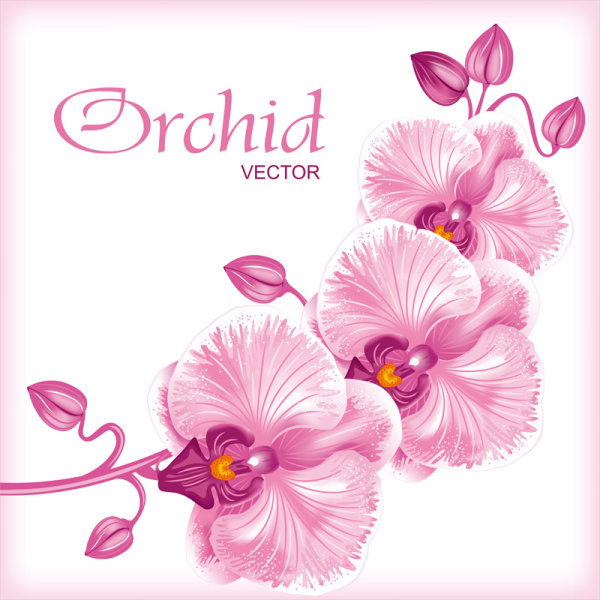 Set Exquisite with Flowers background free vector 03