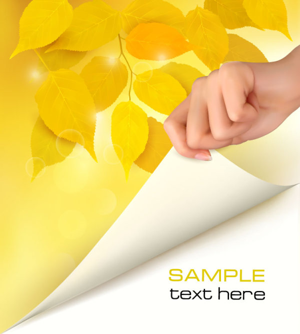 Autumn of Maple leaf vector background set 03