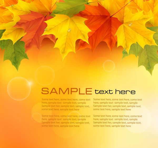 Autumn of Maple leaf vector background set 05