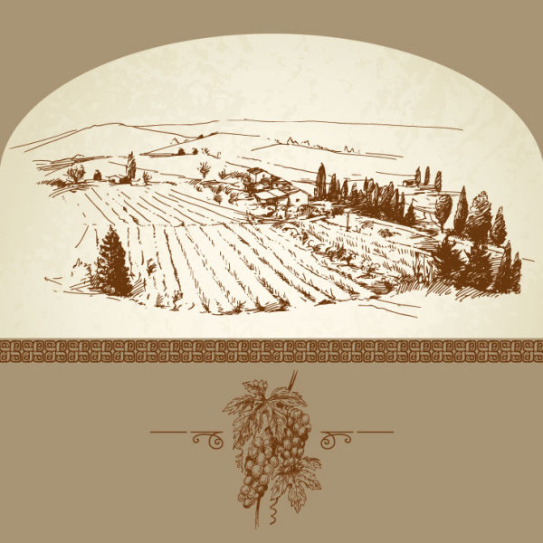 Hand drawn Harvest vineyard elements vector 01