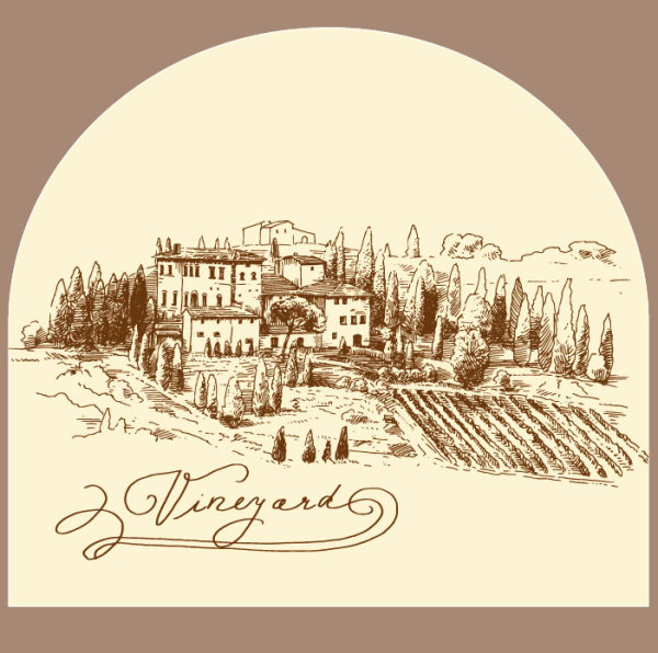 Hand drawn Harvest vineyard elements vector 03