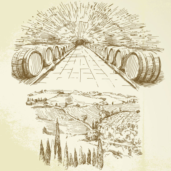 Hand drawn Harvest vineyard elements vector 04