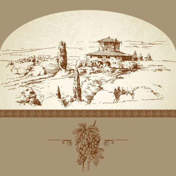 Hand drawn Harvest vineyard elements vector 05
