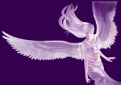 Angel wings Vector