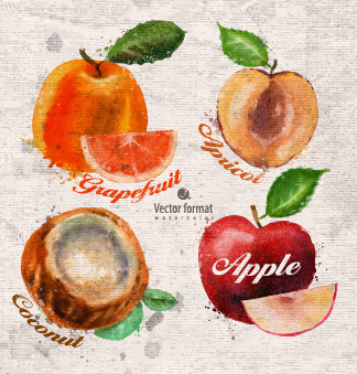 Drawn watercolor fruits vector design set 05