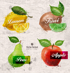 watercolor fruits drawn 