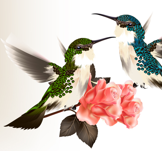 drawn hummingbird vector material 02 Hand drawn hummingbird vector material 02