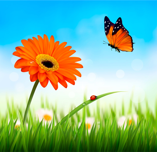 summer grass flower butterfly background 