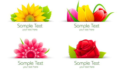 Vector beautiful flowers design set 01