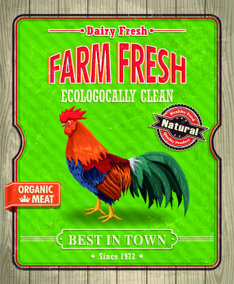 Creative Food poster design vector 07