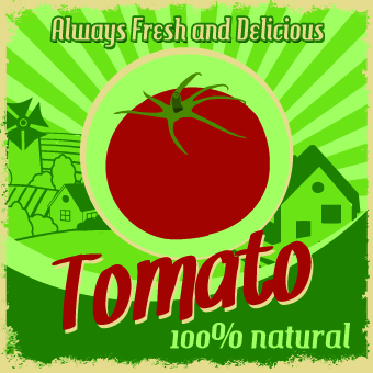 Creative Food poster design vector 08