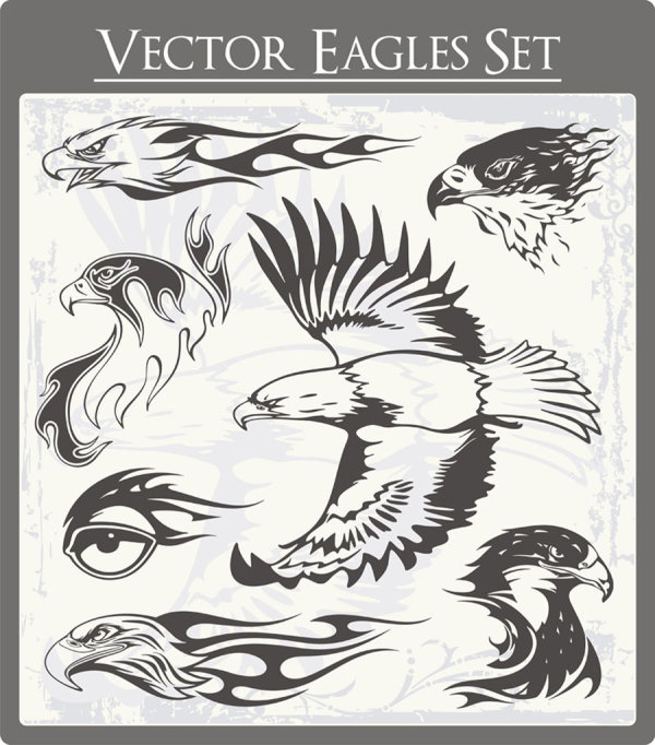 vector eagle 
