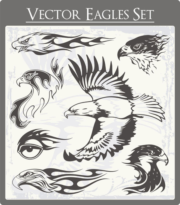 Eagle free vector 01