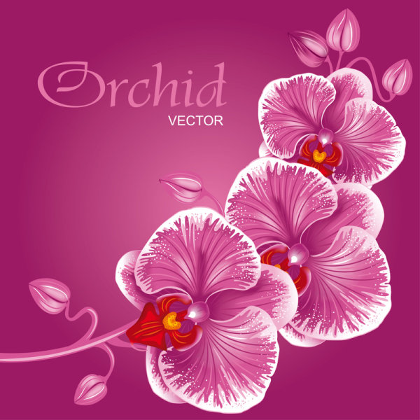 Set Exquisite with Flowers background free vector 01