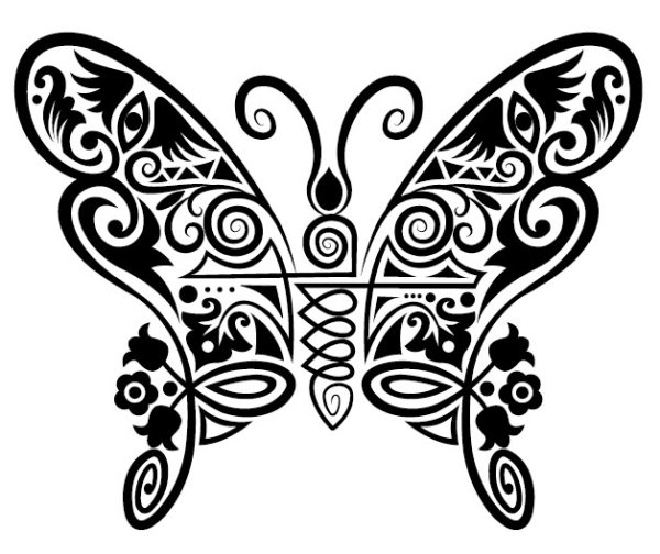 pattern hand drawn decoration butterfly 