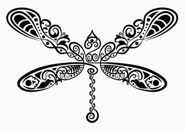 pattern hand drawn dragonfly decoration 