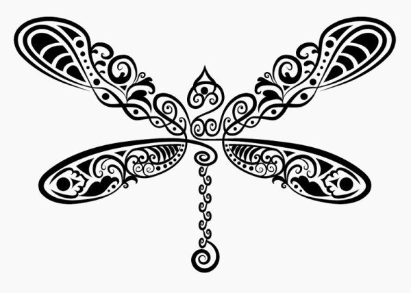 Hand drawn Dragonfly Decoration Pattern vector