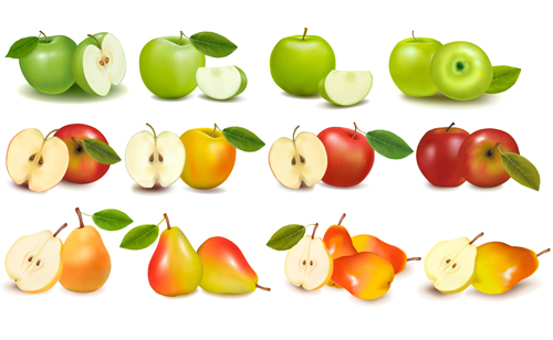 Apple and pears slice vector