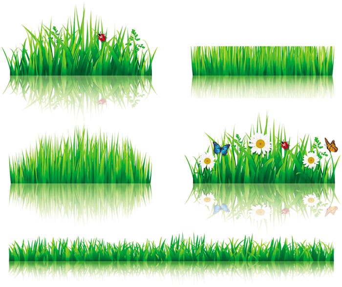 grass flower Border vector border 