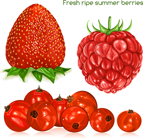 summer Ripe berries 