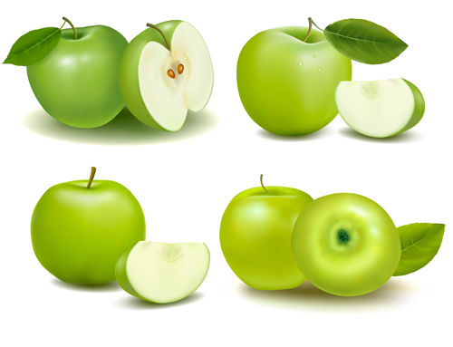 Green apple with slice vectors