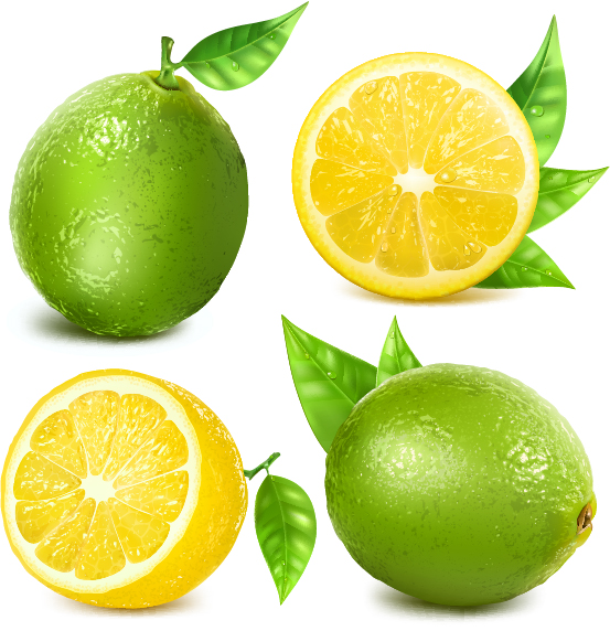 Juicy lemon creative vector 01