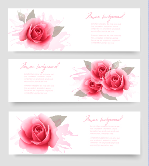 Pink rose banner vector design
