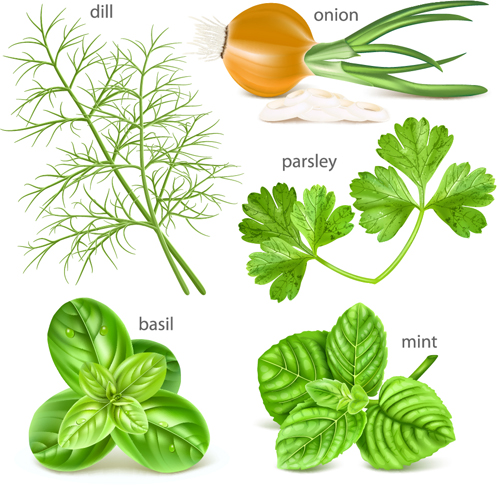 Various herbs 