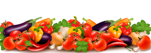 Various vegetable vector art background 02