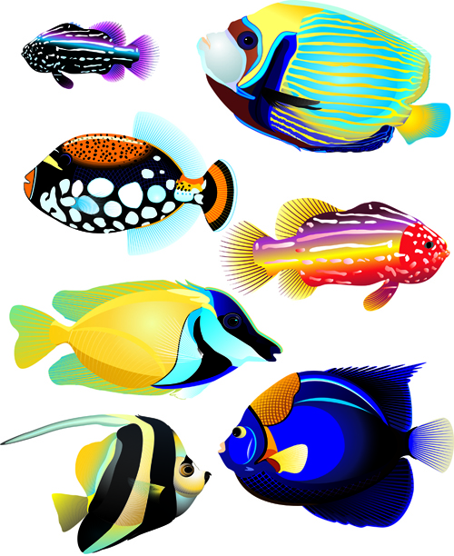 Set of Various Fish vector 01