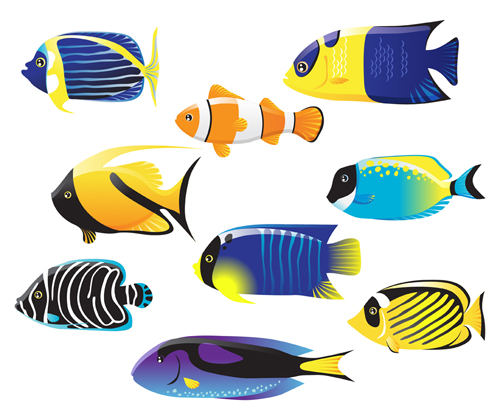 Various fish 