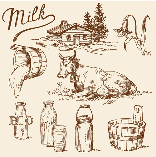 Milk Advertising theme design elements vector 05