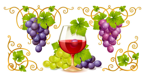wine vines the wine cup red wine green grape grape leaves grape 