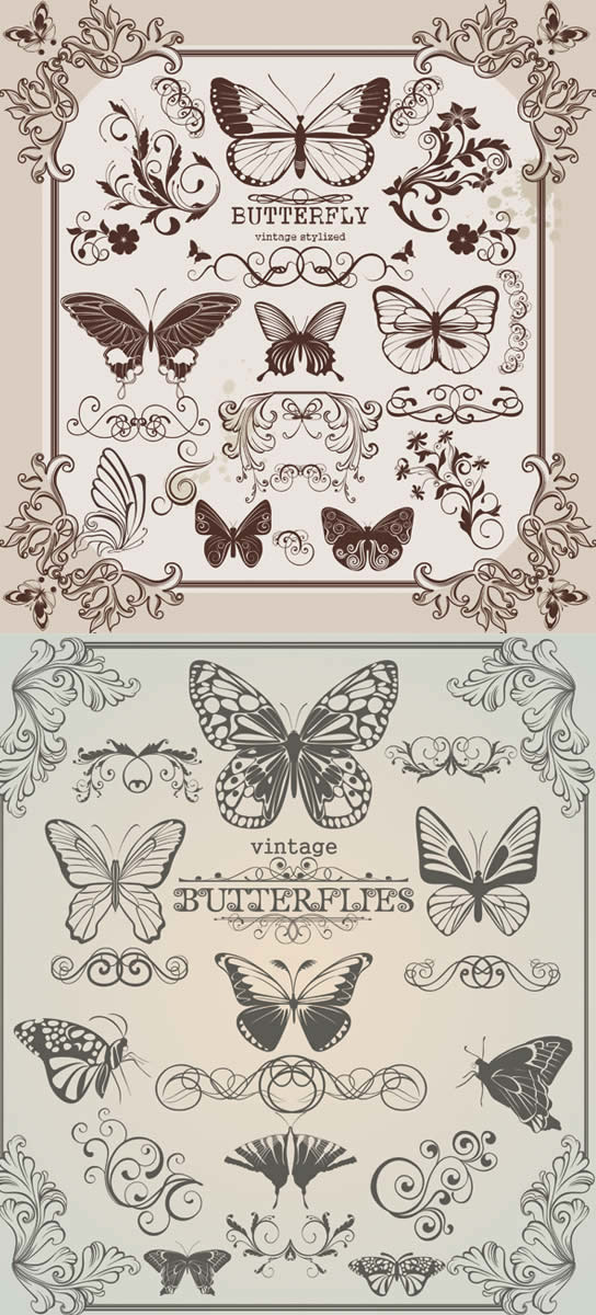Butterfly floral Border vector