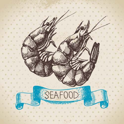 Hand drawn seafood with ribbon vectors 08 Hand drawn seafood with ribbon vectors 08
