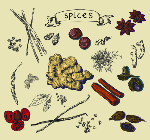spices material hand drawn 