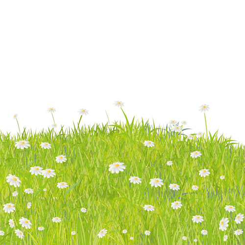 vector background summer grass 