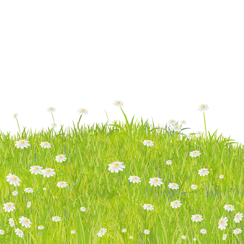 Summer Grass vector background 05