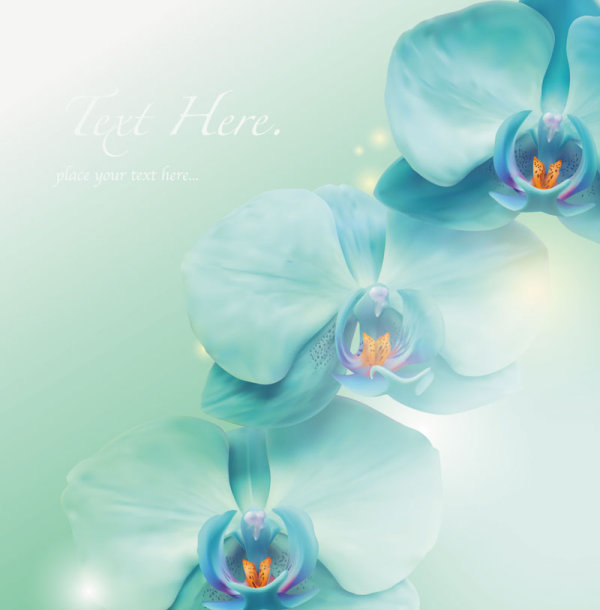free vector Butterfly flower  Set