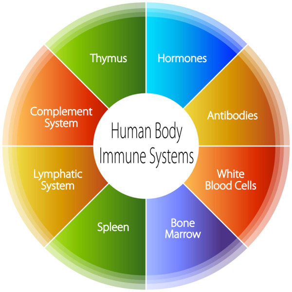 Medical infographics creative design vector 03